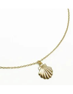 COLLIER CHAINE FORCAT 45CM ET MEDAILLE ST JACQUES